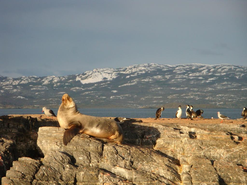 Bagu Ushuaia Hotel 外观 照片